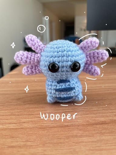 Wooper